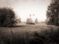 Windrad  Pentax MZ-S, SMC FA  1.9/43 Limited, Adox CHS100II  - 06.09.2020 -