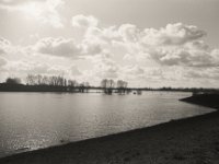 Weiden unter Wasser  Pentax LX, SMC 2.8/24;  Adox Silvermax 100@64