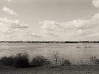 Überschwemmung  Pentax LX, SMC 2.8/24;  Adox Silvermax 100@64