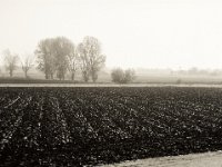 Acker  Pentax 645N, SMC FA 2.8/150, Rollei RPX 100