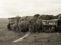 Rheinbrückenrest  Pentax MZ-S, SMC FA  1.9/43 Limited, Adox CHS100II - 09.10.2020 - : Landschaft, Bäume, Brückenpfeiler, Graffiti, Brücke