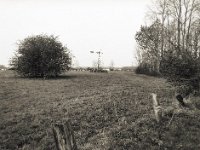 Wind-Pumpen-Rad  Pentax 645N, SMC FA 2.8/45, Rollei RPX 100