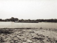 Rheinblick  Pentax 645N, SMC FA 2.8/45, Rollei RPX 100  - 09.04.2020 -