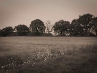 Leben und Tod  Pentax K-1, SMC Pentax-FA 1.8/43 Limited  - 10.05.2020 -