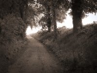 Den Hohlweg hinauf  Pentax K-1, SMC Pentax-FA 1.8/43 Limited  - 10.05.2020 -