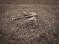 Erinnerung  Pentax K-1, SMC Pentax-FA 1.8/43 Limited  - 10.05.2020 -