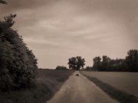 Aufflug der Krähe  Pentax K-1, SMC Pentax-FA 1.8/43 Limited  - 10.05.2020 -
