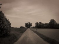 ..... und Abflug  Pentax K-1, SMC Pentax-FA 1.8/43 Limited  - 10.05.2020 -
