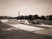 Erntezeit  Fuji GS645S prof.Wide60, Fuji Acros 100II  - 14.09.2020 -