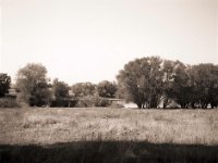 Am Flussufer bei Bislich  Fuji GS645S prof.Wide60, Fuji Acros 100II  - 14.09.2020 -