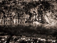 Kanji unterm Grün  Pentax K2, SMC 2.8/24, Gelbfilter, Bergger Pancro400