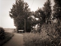 Endpunkt  Fuji GS645S professional,  Bergger Pancro400@250  - 15.08.2020 -