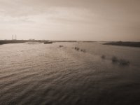 Rheinhochwasser  Pentax K-1, HD Pentax D-FA 2.8/24-70 SDM WR  - 15.02.2020 -