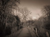 Der stille Weg  Pentax K-1, HD Pentax D-FA 2.8/24-70 SDM WR  - 15.02.2020 -