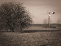 Windradpumpe  Pentax K-1, HD Pentax D-FA 2.8/24-70 SDM WR  - 15.02.2020 - : Landschaft, Strauch, Rheindeich, Weide, Windrad