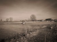 Überschwemmter Fähranlegeplatz  Pentax K-1, HD Pentax D-FA 2.8/24-70 SDM WR  - 15.02.2020 -