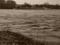 Rheinwellen  Pentax K-1, HD Pentax D-FA 2.8/24-70 SDM WR  - 15.02.2020 -