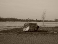 Fels und Baum  Pentax K-1, HD Pentax D-FA 2.8/24-70 SDM WR  - 15.02.2020 -