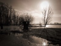 Romantik Rheinhochwasser  Pentax K-1, HD Pentax D-FA 2.8/24-70 SDM WR  - 15.02.2020 -