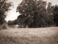 Versteckte Kunst  Pentax MZ-S, SMC FA  1.9/43 Limited, Gelbfilter, Ilford Pan 100 : Landschaft, Gebäude, Feld, Graffiti, Bäume
