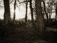 Planen im Gegenlicht  Fuji GS645S professional WIDE60, Bergger Pancro400  - 18.12.2020 -