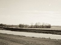 Reiher am Ufer  Fuji GS645S professional WIDE60, Bergger Pancro400  - 18.12.2020 -