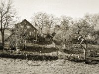 Die Ziege ausserhalb des Gartens  Fuji GS645S professional WIDE60, Bergger Pancro400  - 18.12.2020 -