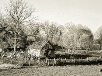 Landleben  Fuji GS645S professional WIDE60, Bergger Pancro400  - 18.12.2020 -