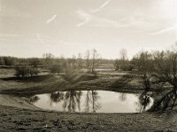 Auenland  Fuji GS645S professional WIDE60, Bergger Pancro400  - 18.12.2020 -