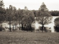 Der See hinterm Deich  Pentax MZ-S, SMC FA  1.8/31 AL Limited, Bergger Pancro 400