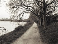 Am Rhein entlang  Pentax MZ-S, SMC FA  1.8/31 AL  Limited, Bergger Pancro 400
