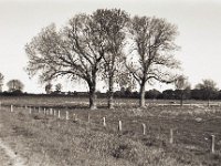 Dreier  Pentax MZ-S, SMC FA  1.9/43 Limited, Adox Silvermax 100