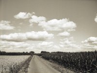 Weg zwischen Getreide und Mais  Fuji GS645S professional,  Fuji Acros 100II@64 : Landschaft, Bäume, Weg, Wolken, Getreidefeld, Maisfeld