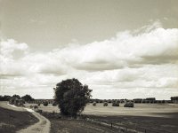 Auf bekanntem Weg  Fuji GS645S professional,  Fuji Acros 100II@64 : Landschaft, Rheindeich, Weg, Wolken, Weide, Viadukt