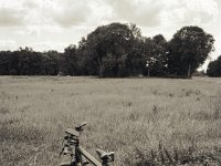 Kleine Pause  Fuji GS645S professional,  Fuji Acros 100II@64 : Landschaft, Winora, Wolken, Felder, Fahrrad, Yakun Urban, Bäume