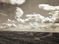 Wolken und Strohlinien  Fuji GS645S professional,  Fuji Acros 100II@64 : Getreidefeld, Wolken, Landschaft