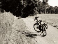 Kurze Pause  Pentax K2, SMC 1.4/50, Ilford Pan 100 - 21.09.2020 -