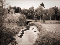 Hohe Ley  Pentax 645N, SMC FA 2.8/45, Gelbfilter mittel, Fuji Acros 100II