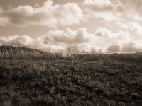 Rheindeich und Wolken  Pentax K-1, SMC Pentax-FA 1.8/31 AL Limited  - 24.09.2020 -