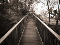 Schmale Brücke über den Rotbach  Pentax K-1, SMC Pentax-FA 1.8/31 AL Limited  - 24.09.2020 -