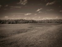 Der kleine See verschwindet  Pentax K-1, SMC Pentax-FA 1.8/31 AL Limited  - 24.09.2020 -