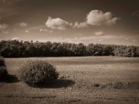 Spaziergang auf dem Seegrund  Pentax K-1, SMC Pentax-FA 1.8/31 AL Limited  - 24.09.2020 -