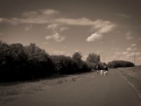 Frauen und Hunde  Pentax K-1, SMC Pentax-FA 1.8/31 AL Limited  - 24.09.2020 -