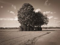 Am Ende der Rundfahrt  Pentax K-1, SMC Pentax-FA 1.8/31 AL Limited  - 24.09.2020 -