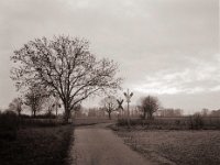 Früher Morgen  Fuji GS645S professional WIDE60, Bergger Pancro400