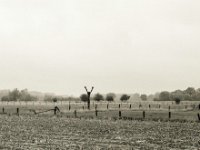 Schrei in den Weiden  Pentax 67II, SMC 2.4/105, Bergger Pancro400 - 26.09.2020 - : Landschaft, Figur, Feld, Weidenzaun, Weide