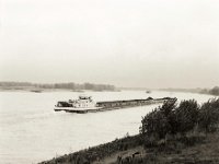 Rheinschifffahrt  Pentax 67II, SMC 2.4/105, Bergger Pancro400 : Fluss, Lastkahn, Herbst, Rhein