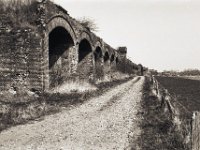 Weg am alten Viadukt  Pentax Super A, SMC FA 1.9/43 Limited, Adox Silvermax 100 : Landschaft, homepage, Graffiti, Viadukt, Eisenbahn