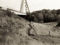Krähe auf dem Zaun  Pentax LX, SMC Pentax-FA 1.8/77 AL Limited; Adox CHS100 II  - 29.10.2020 - : homepage, Krähe, Rheinbrücke, Weidenzaun, Wesel