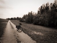 Bald Zuhause  Pentax LX, SMC Pentax-FA 1.8/31 AL Limited; Adox CHS100 II  - 29.10.2020 - : Winora, Fahrrad, Yakun Urban, Bäume, Weg, homepage, Rheindeich